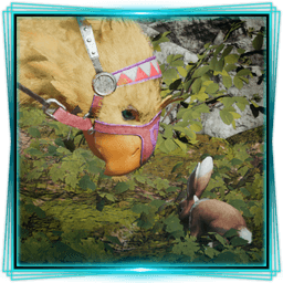 Expert Ex-kweh-vator