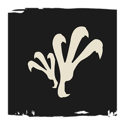 Top of the Pecking Order